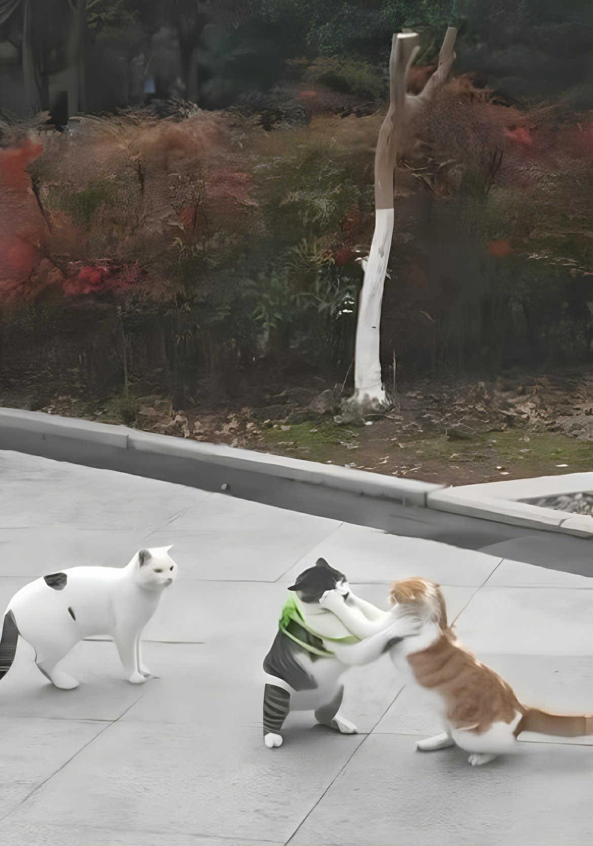 Yapani! – Cat Fight ヤパニ！ Japanese alley cat fight 💥