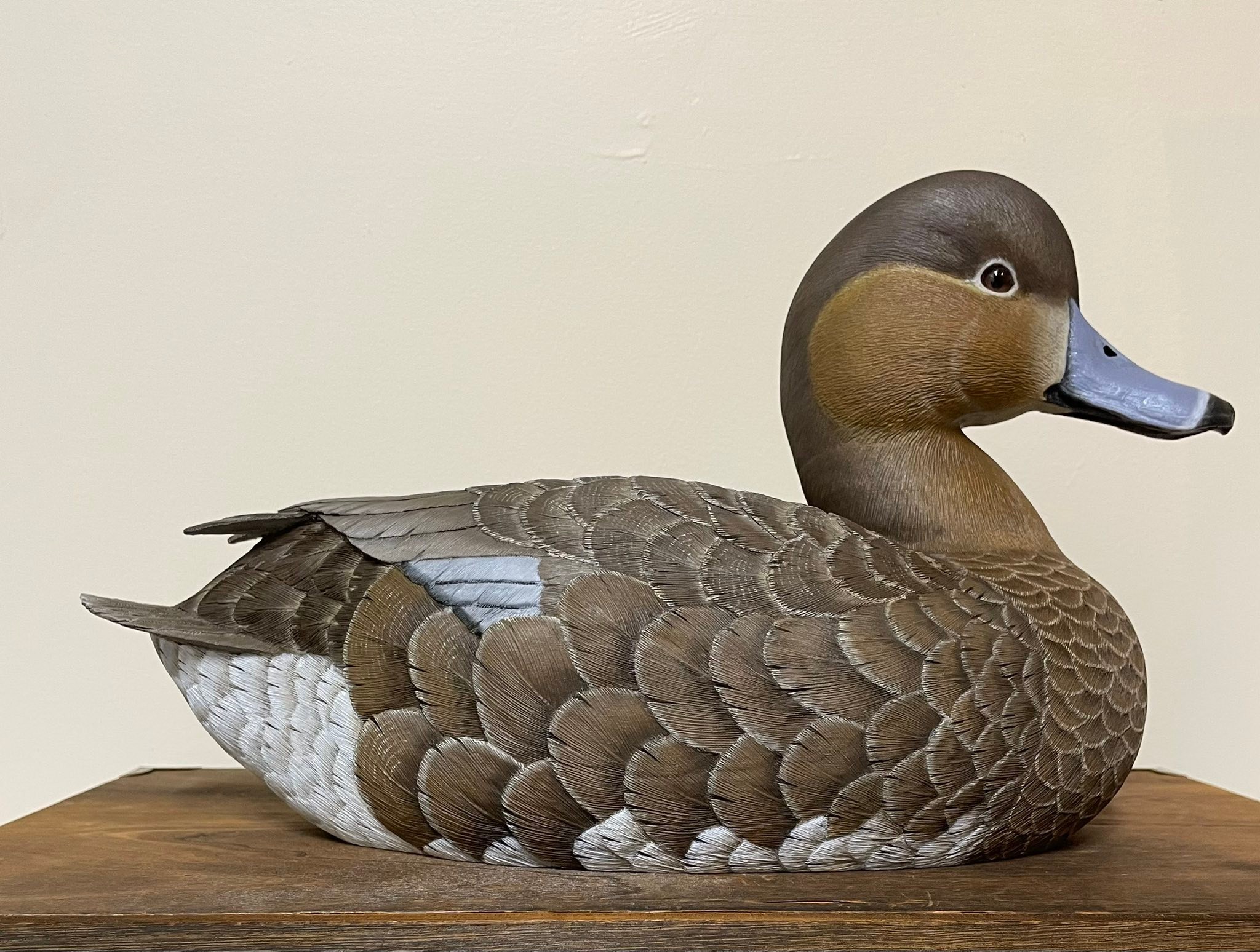 Hand-carved tupelo wood redhead hen decoy