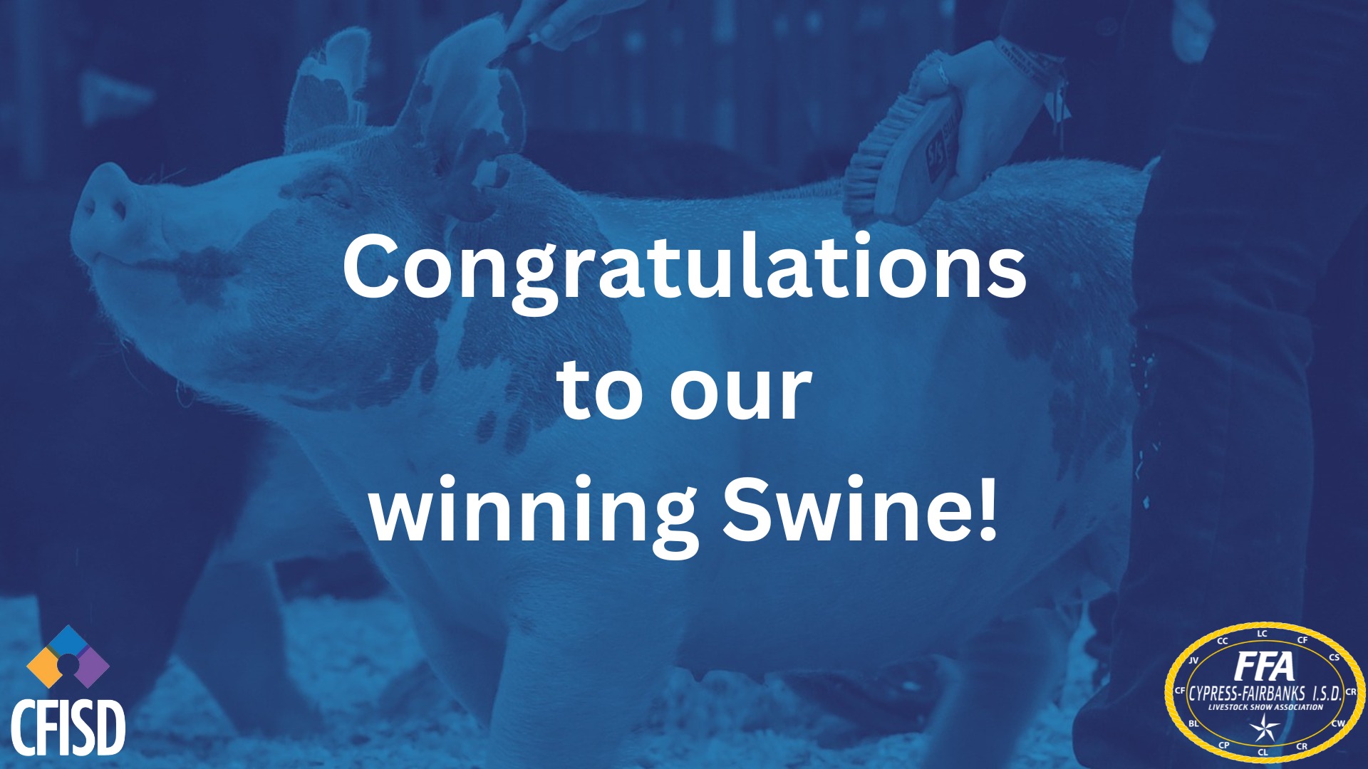 CFISD - Congratulations to the winners of the 2025 CFISD LSA Swine show ...