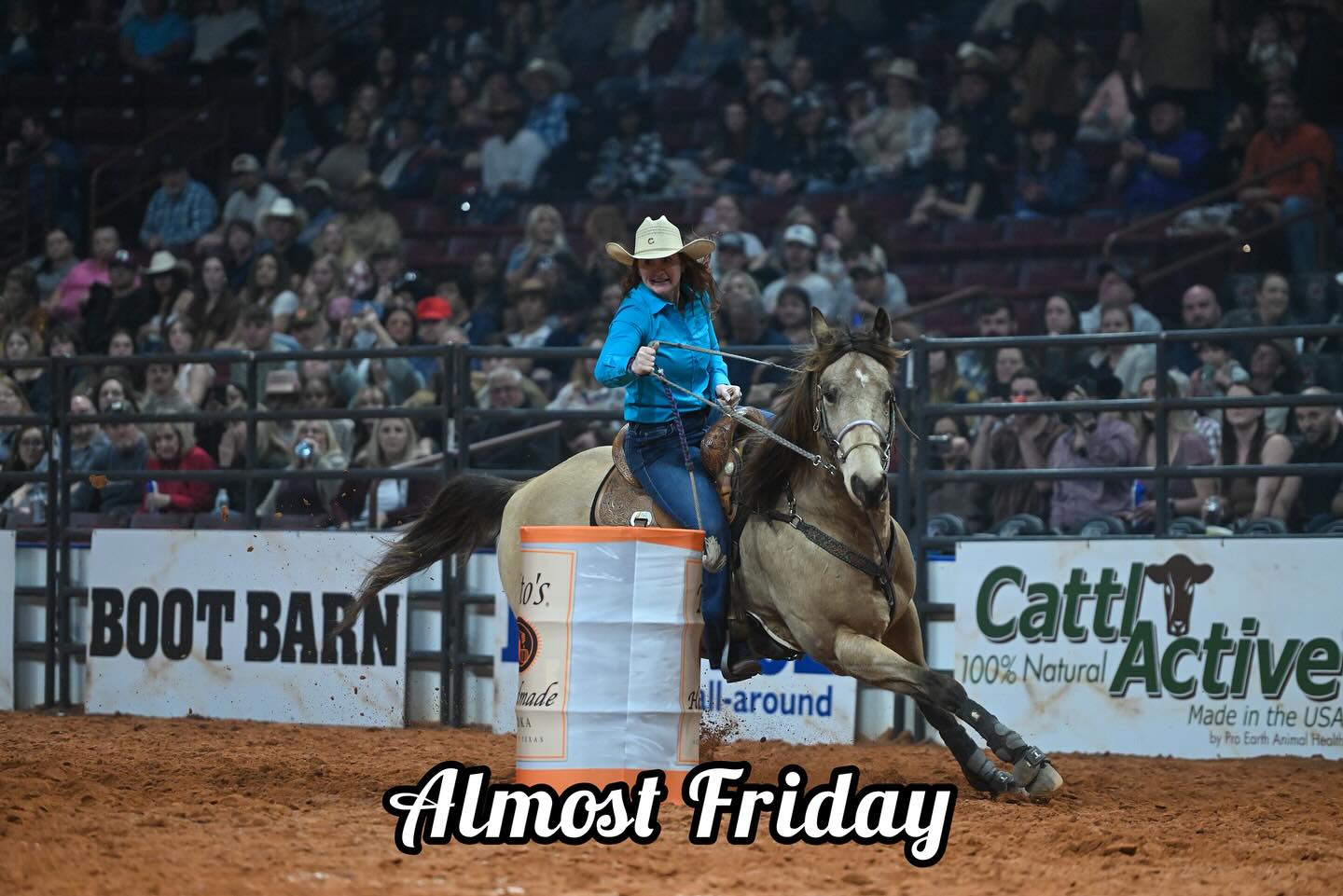 Cinch World's Toughest Rodeo - 2016 Spring Buck Out is just around the ...