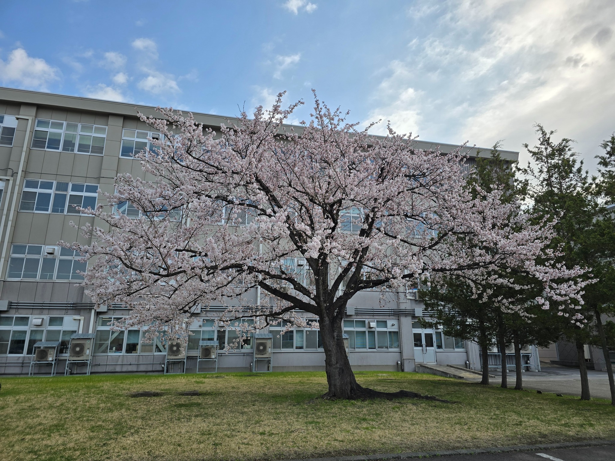 青森県立弘前工業高等学校同窓会 - 青森県立弘前工業高等学校同窓会 added a new photo.