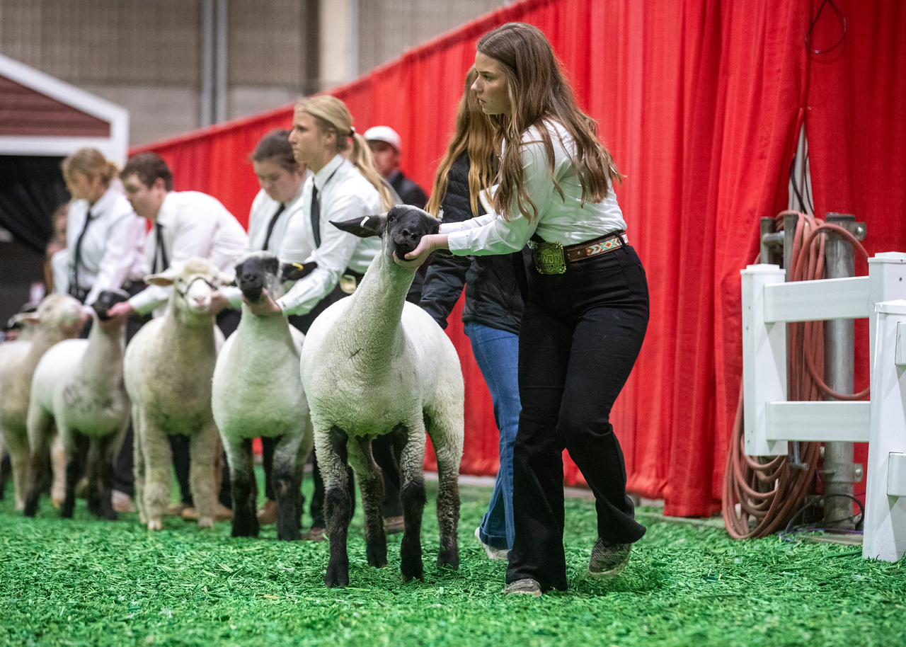 South Dakota... - South Dakota State University- Sheep Unit