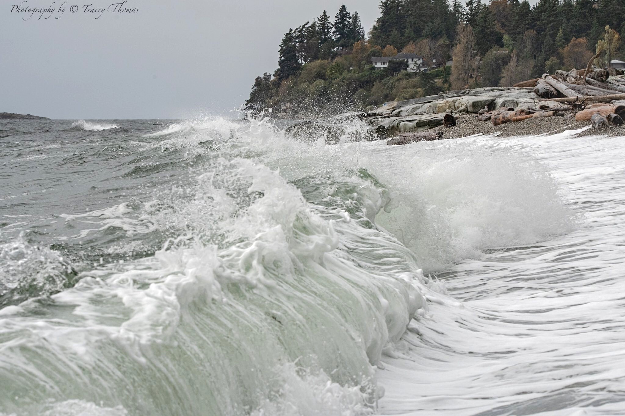 🌬🍂🌊 Fall storm waves at Sechelt... - Sunshine Coast BC Canada | Facebook