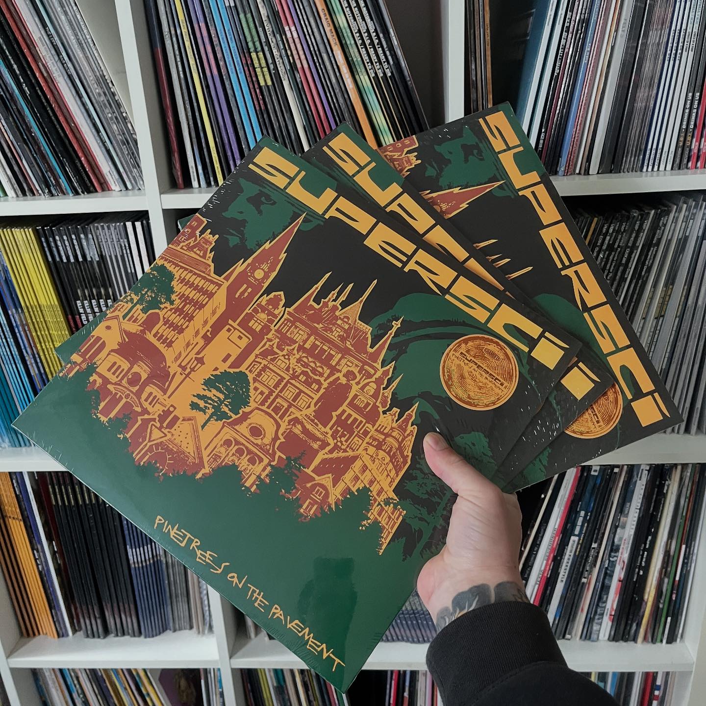 レコード Supersci/ Pinetrees on the Pavement/ 2LP