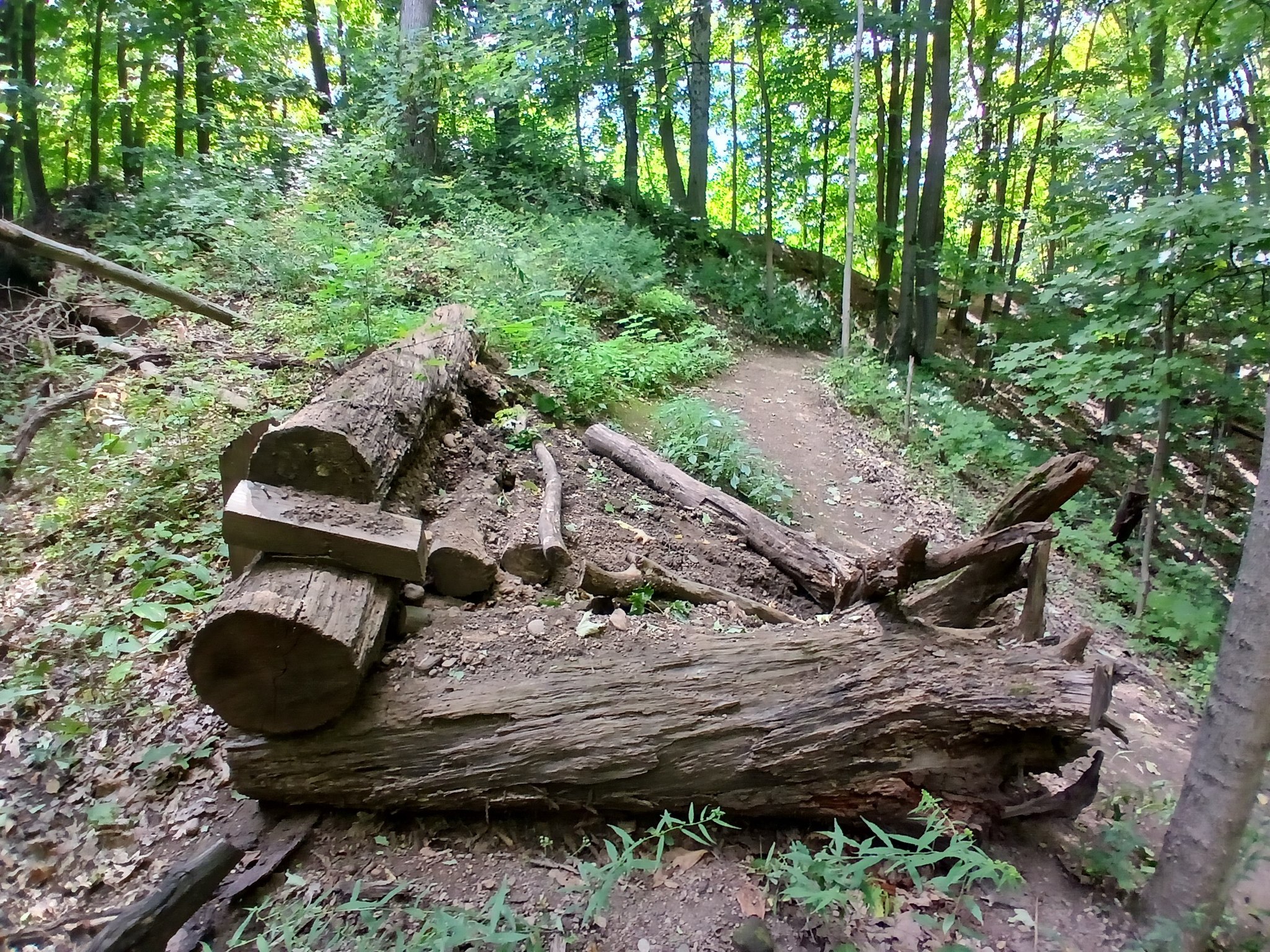 Hamilton Conservation... - Hamilton Conservation Authority