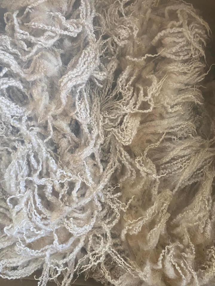 Raw Wool Group | Is there a difference between scurf and dandruff ...
