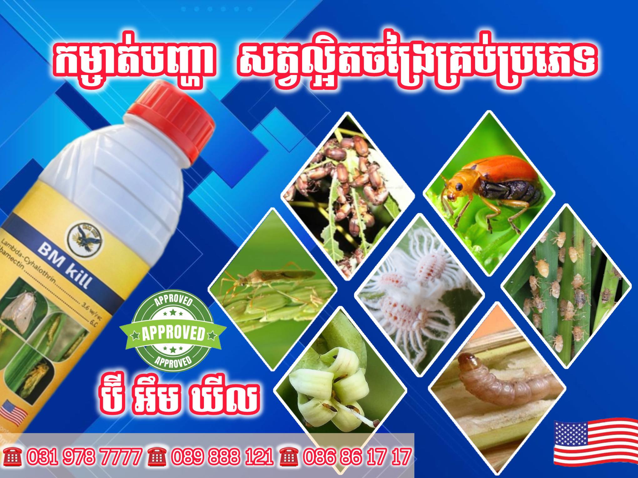 ប៊ី អារ៉ូ | Phnom Penh