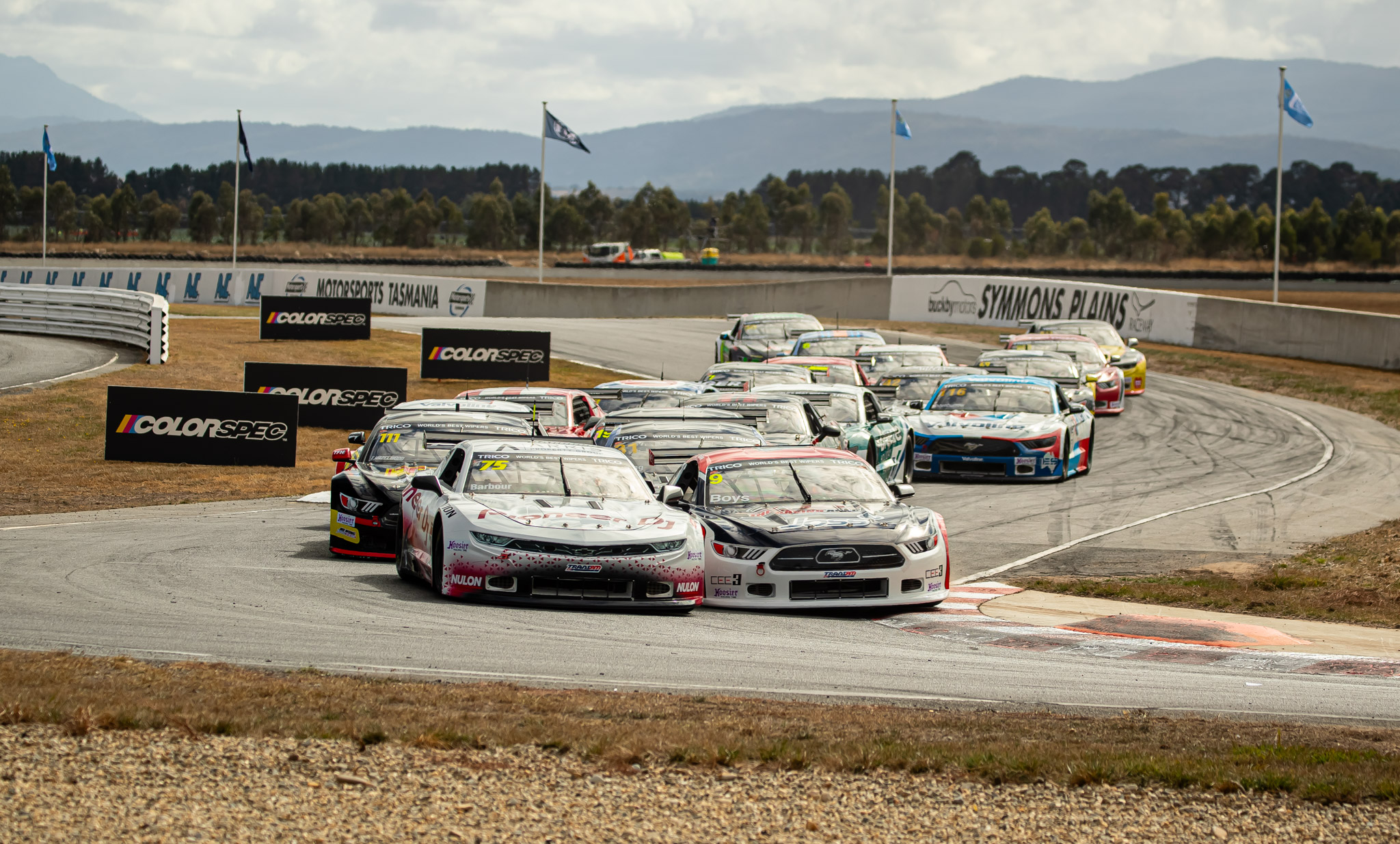 Tassie Tin Tops