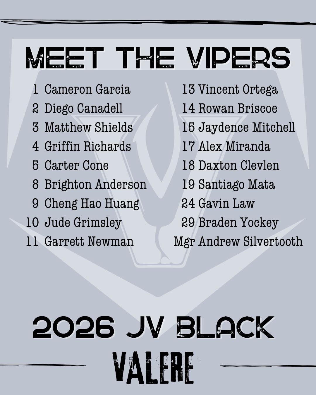 🐍 ROSTER DROP 🐍... - Vandegrift Viper Baseball | Facebook