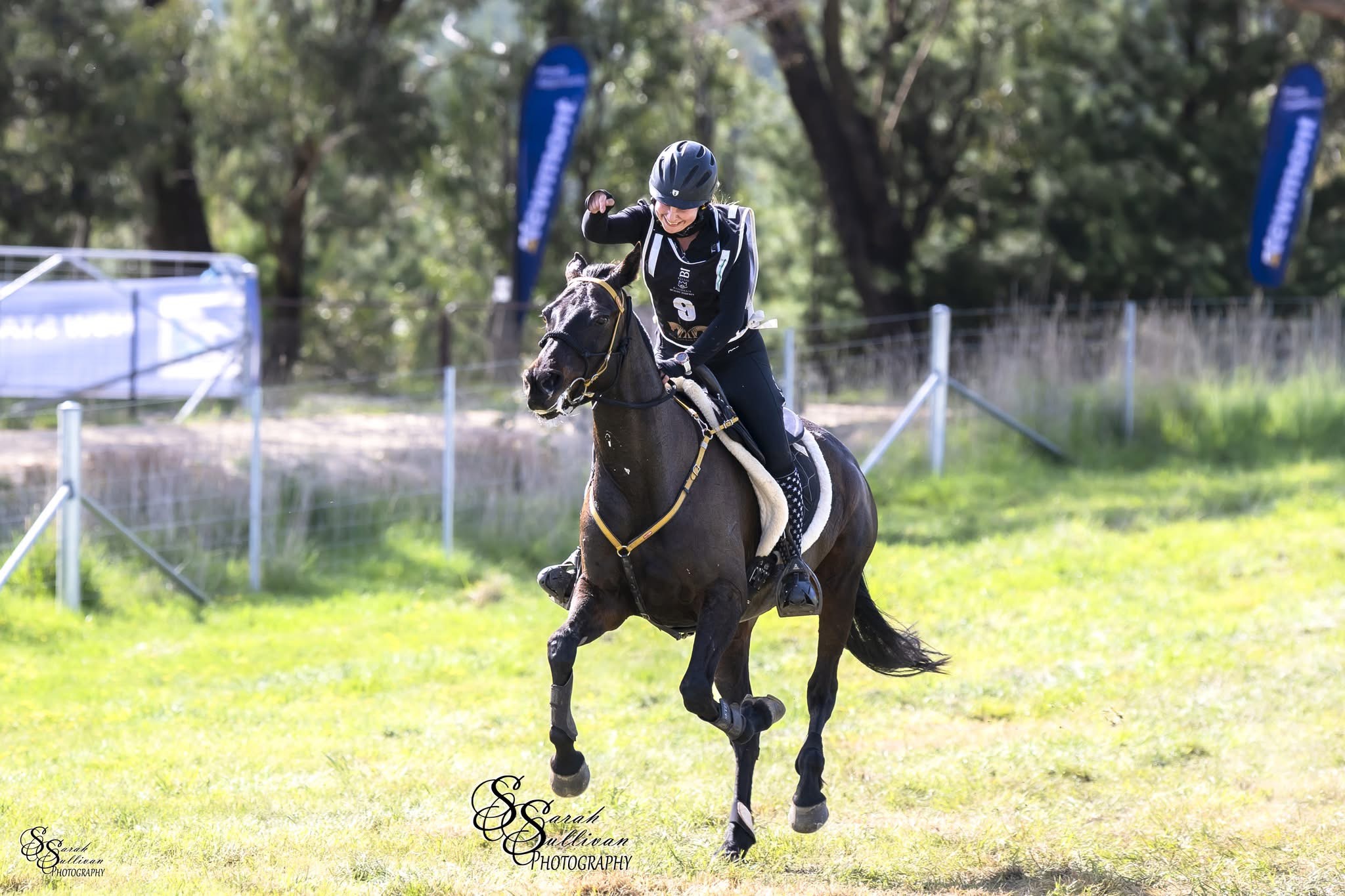 Bullio Razorback | Orange NSW