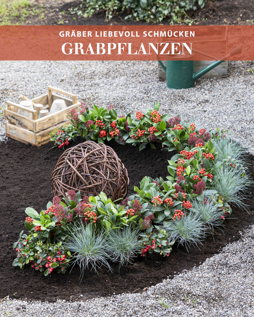 Erinnerung, die weiterwächst.🌿 Unsere winterschönen Pflanzen, wie Skimmien, Torfmyrte oder Blauschwingel eignen sich ideal für eine würdevolle Grabgestaltung. Ein Zeichen der Verbundenheit, das grün u