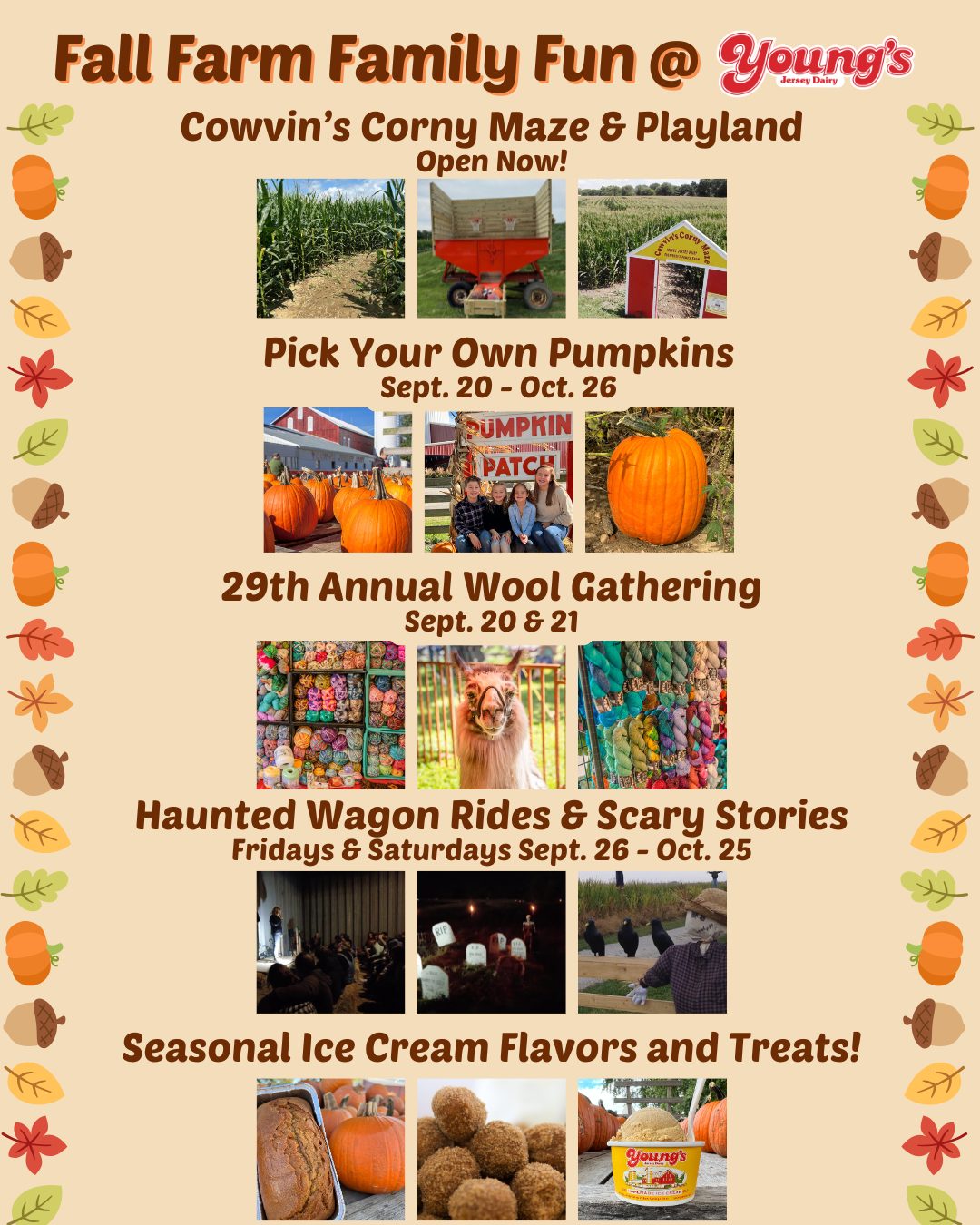 There's so much fall fun on the farm! - Young's Jersey Dairy | Facebook