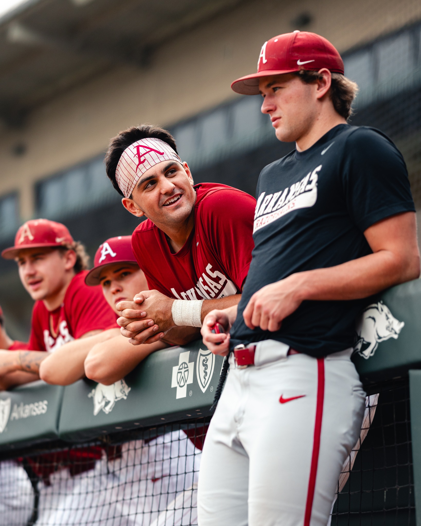 Arkansas Razorback Baseball... - Arkansas Razorback Baseball