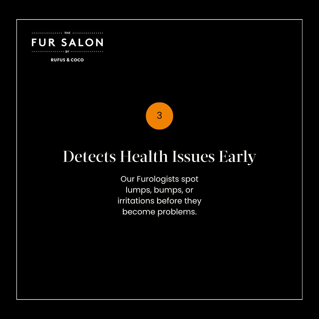 The Fur Salon by Rufus & Coco | Sydney NSW