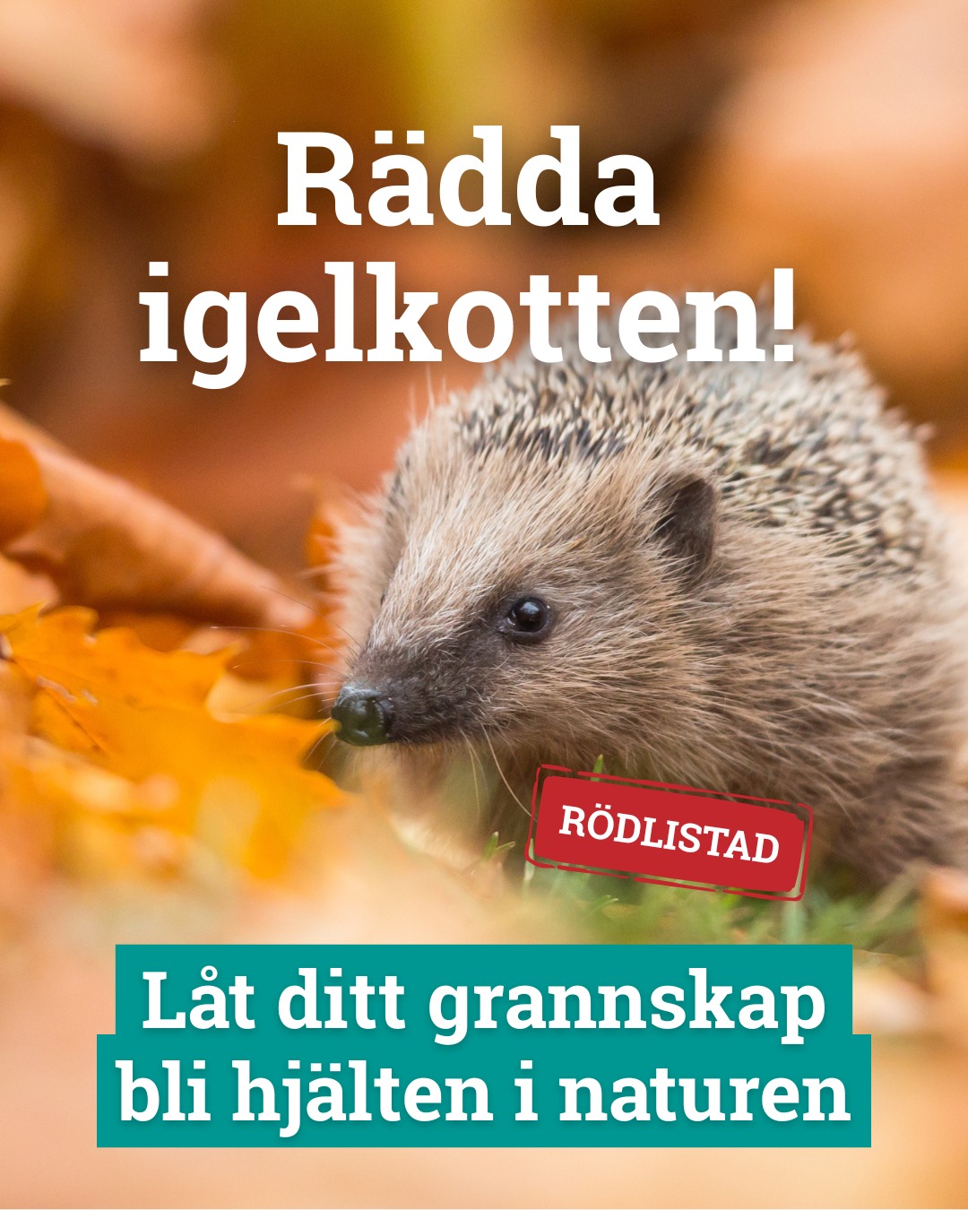 Marks Naturskyddskrets | Det är klart att vår framtid (barnen) ska få ...