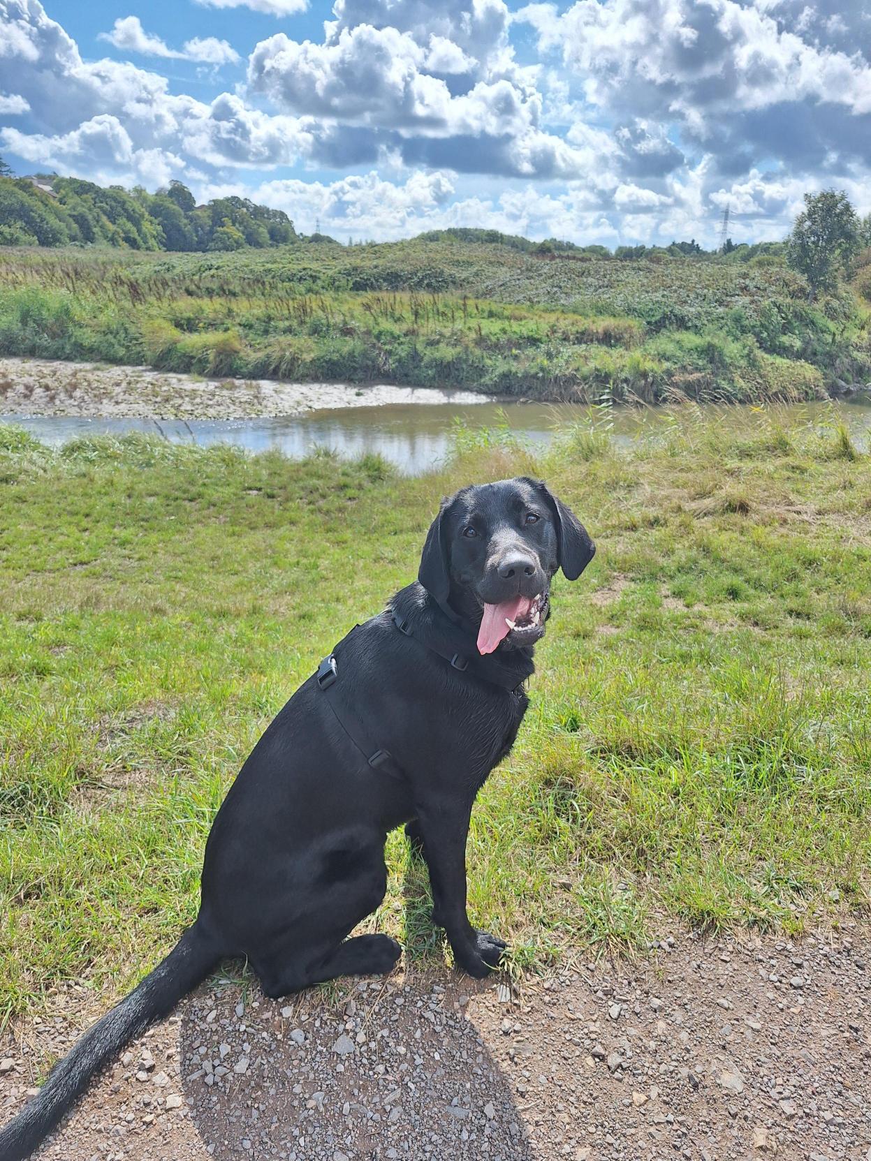 Guide - When it comes to Tongue Out Tuesday, could this gorgeous girl ...