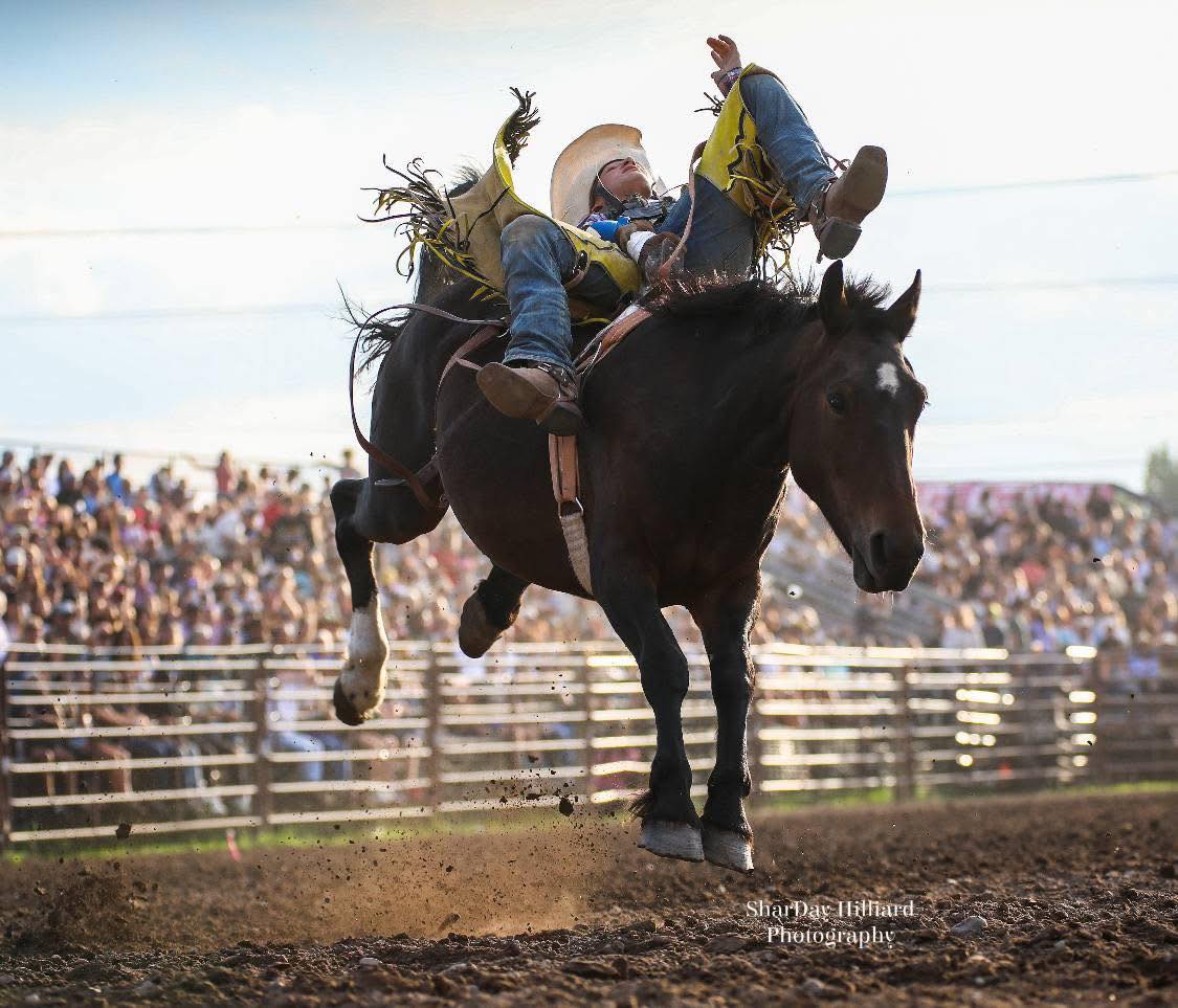 Brash Rodeo | Columbia Falls MT