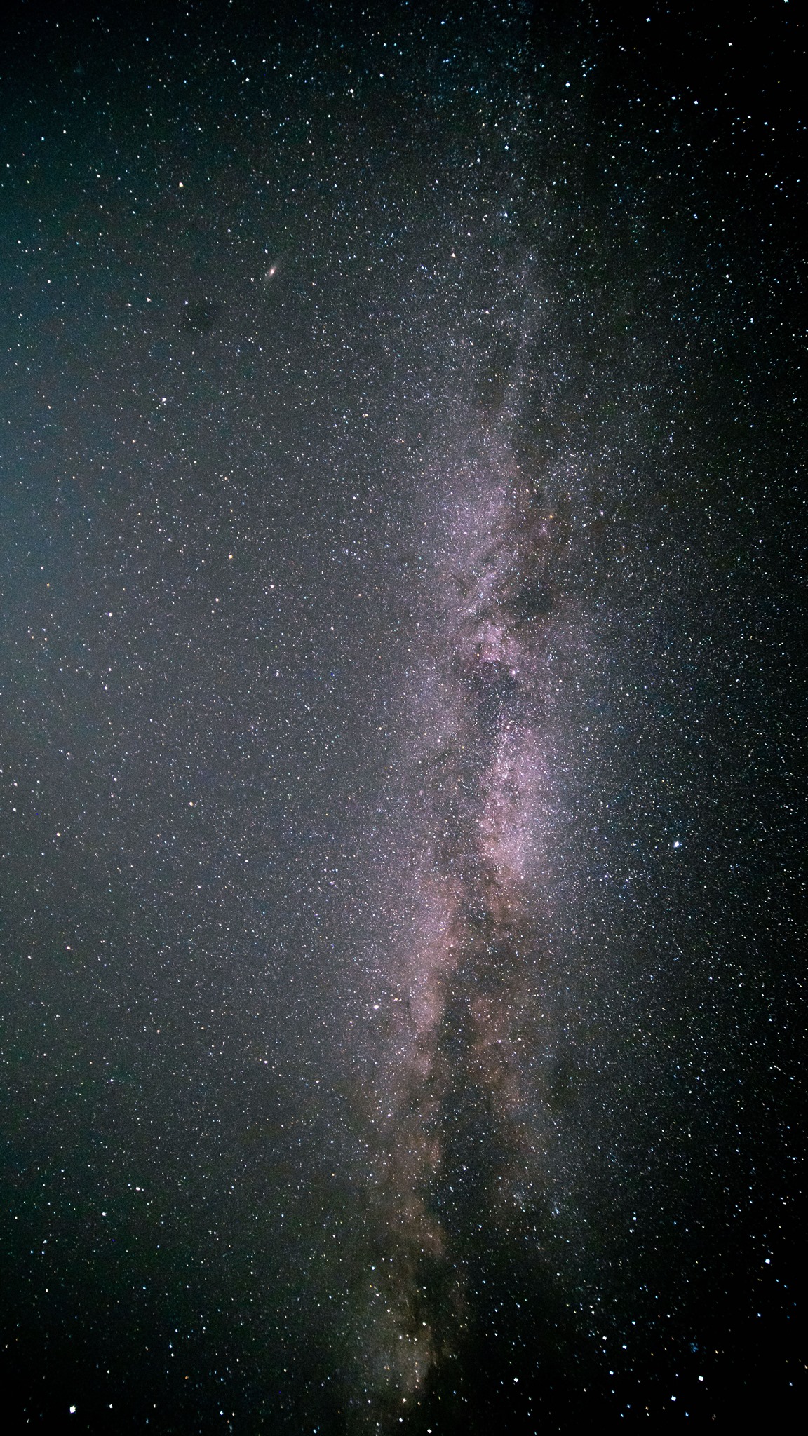 Ursa Mică Glamping Resort - Stargazing enthusiast? We got you covered ...