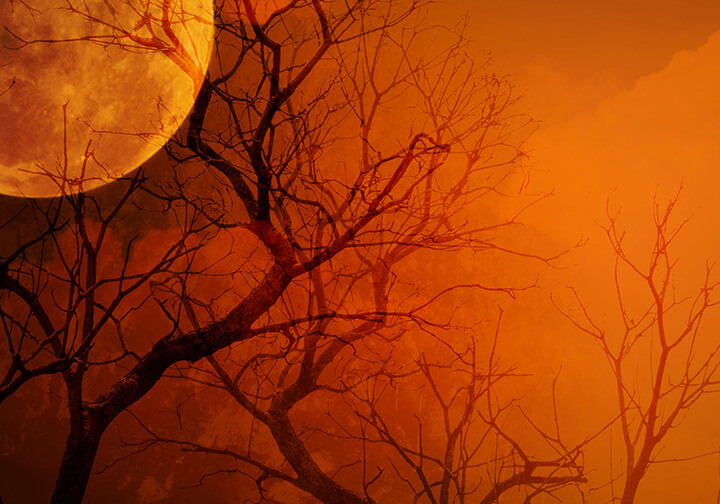 Catholic - 🎃 October invites us to embrace not just the pumpkins and ...