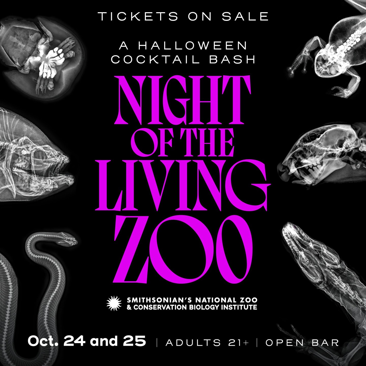 🎃🍬 Get ready for a WILD Halloween— join us for Boo at the Zoo and Night ...