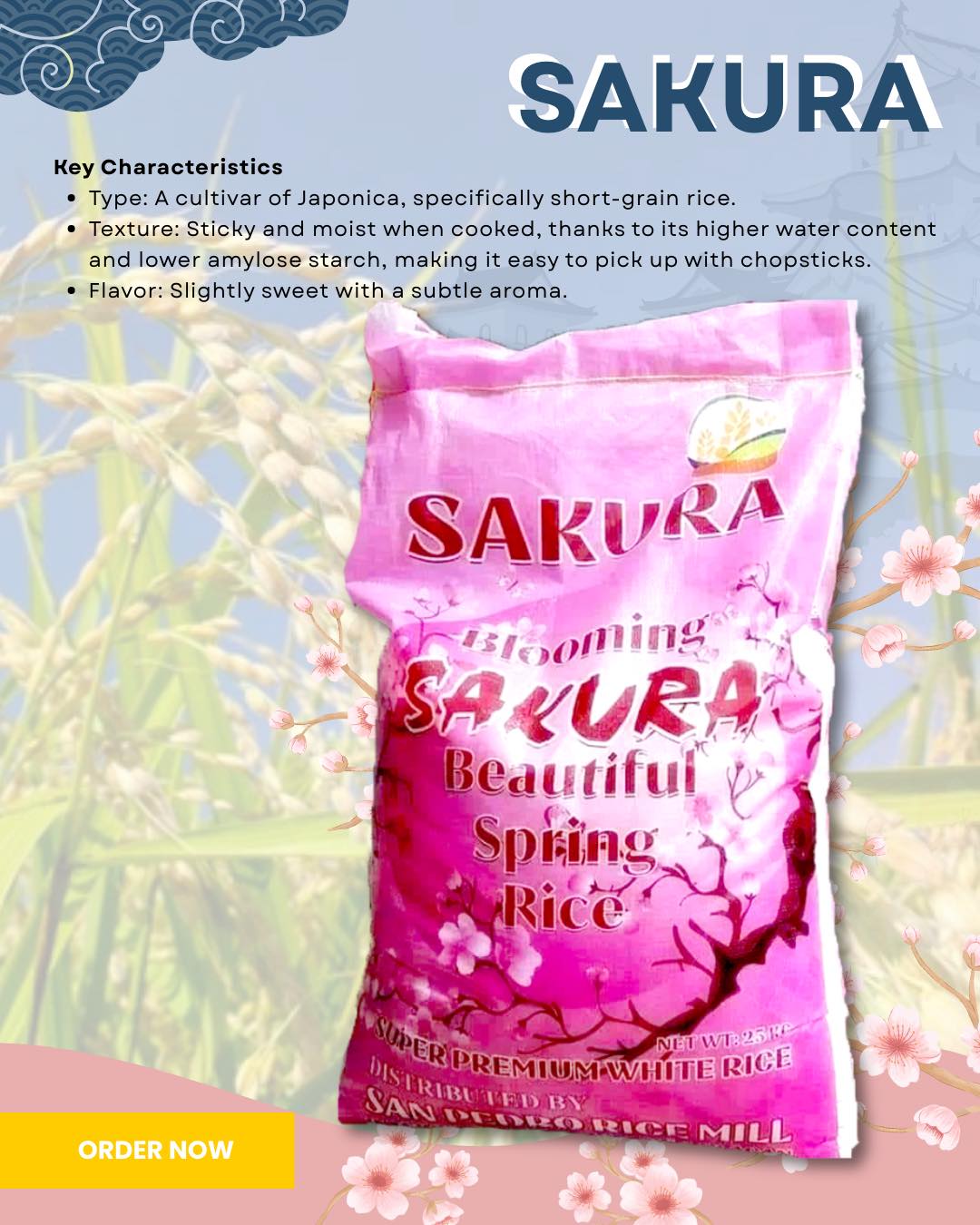 5G-Bigasan - Rice is life this 2026 🍚 😂 Japanese rice / Sweet Sakura ...