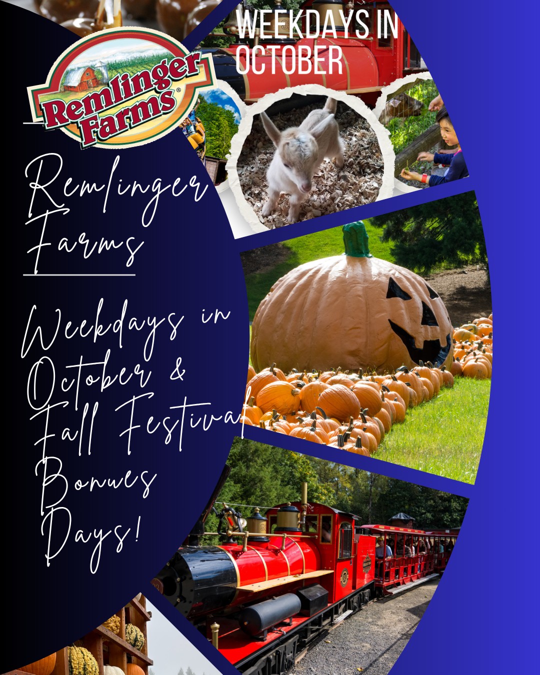 Remlinger Farms - 🚨 **BREAKING FARM NEWS!** 🚨 Hold onto... | Facebook