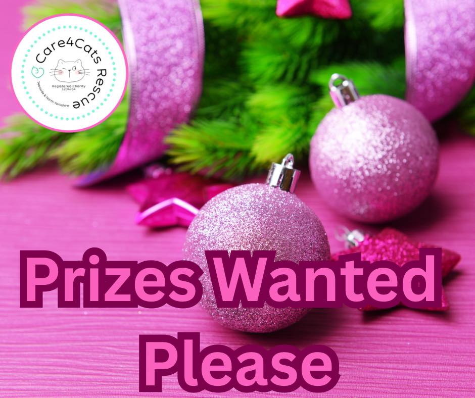🎁 Raffle Prize Appeal – Help Us Make It Magical! 🎁 Our Festive Raffle ...