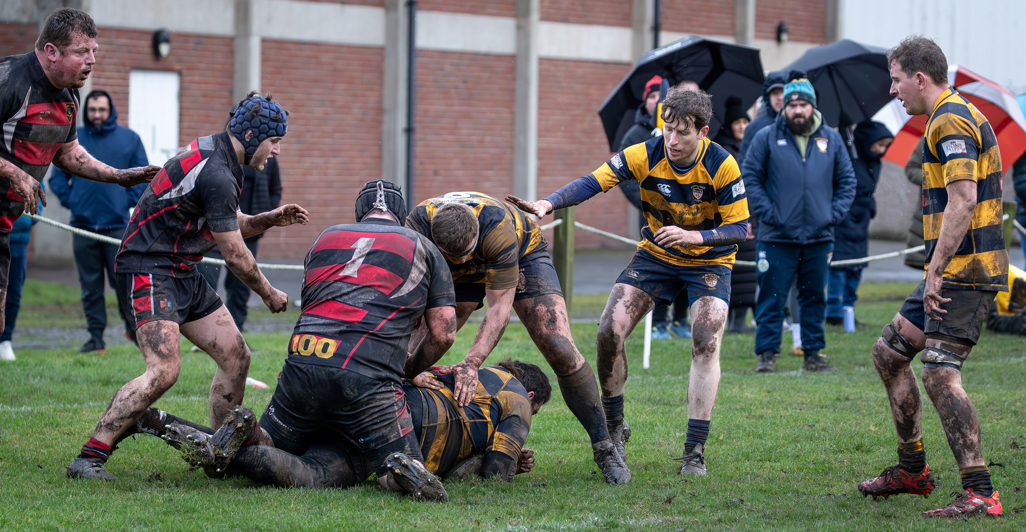 St Edward's Old Boys RUFC