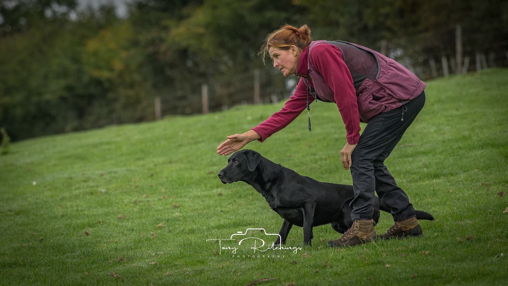 Working and Sport Dogs, Training UK | Facebook