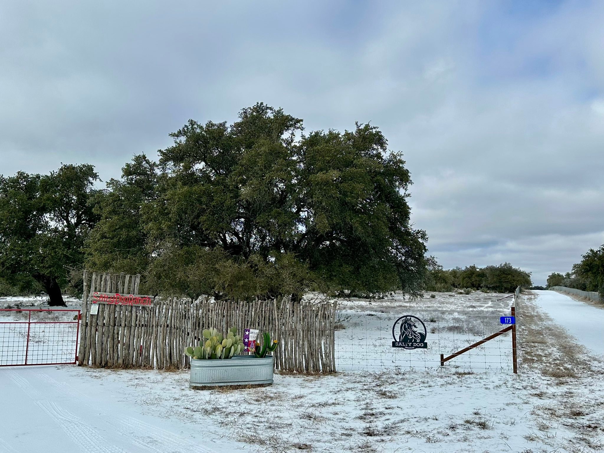Salty Dog Ranch | Round Mountain TX