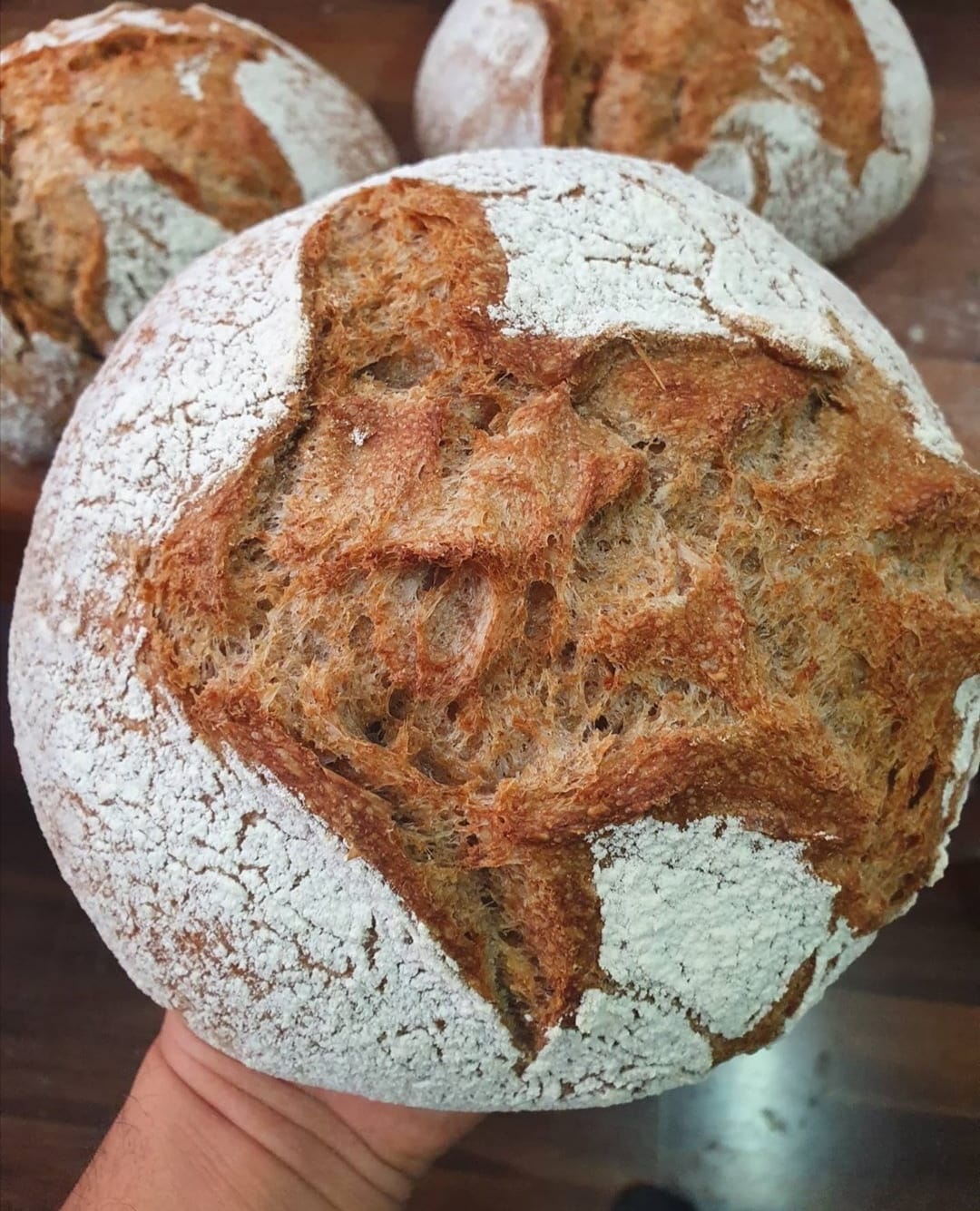 Podkol, Panadería Artesanal | Santiago