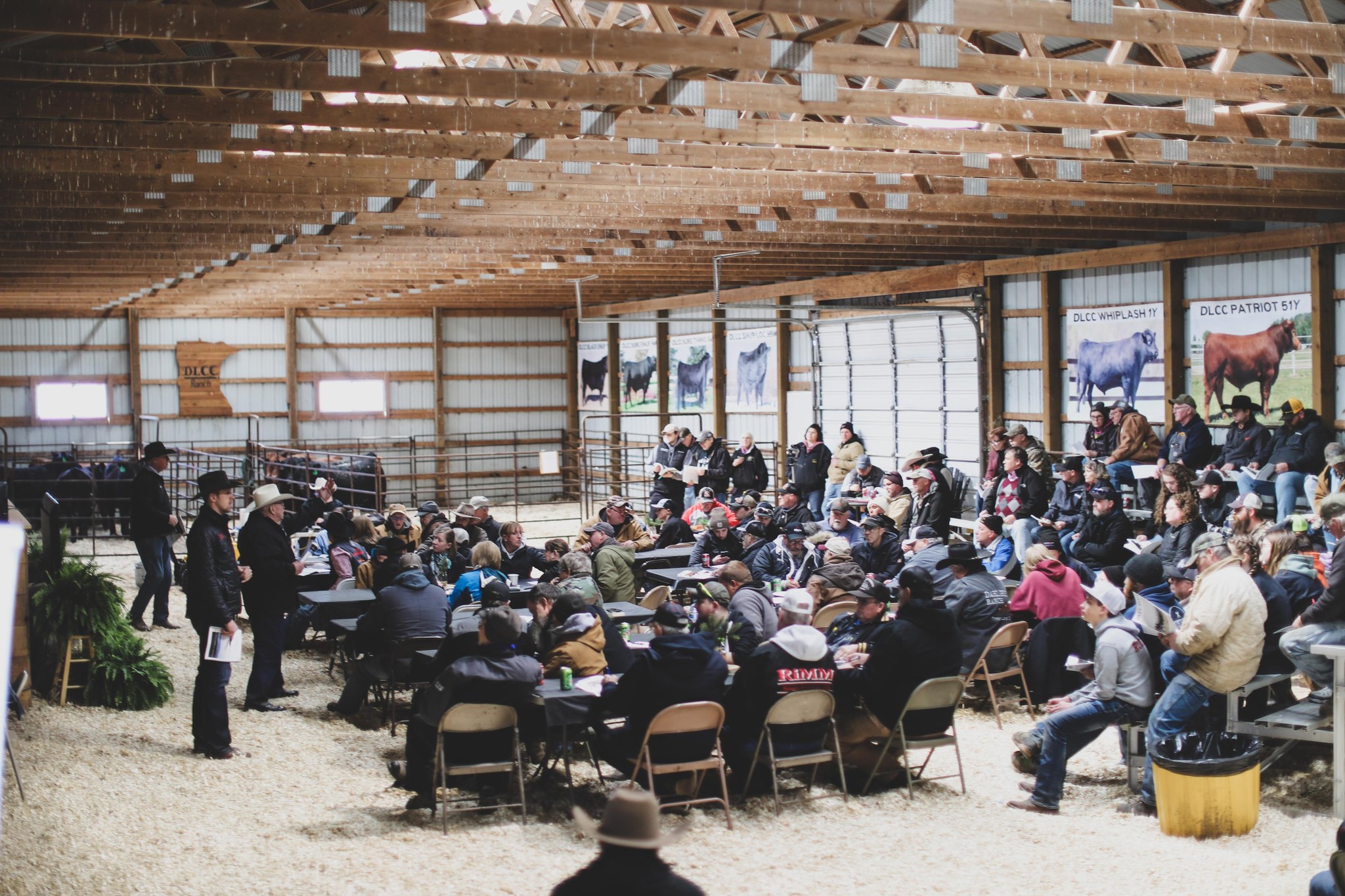 DLCC Ranch | Pierz MN