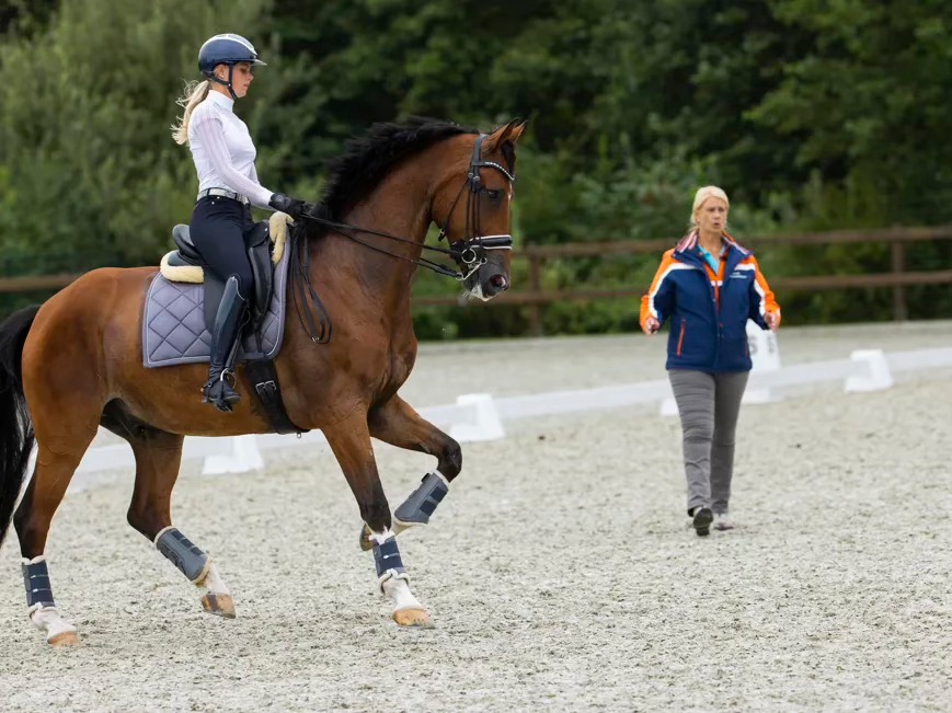 KNHS Paardensport - In de in Nispen bij Dressuurstal Argonaut verreden ...