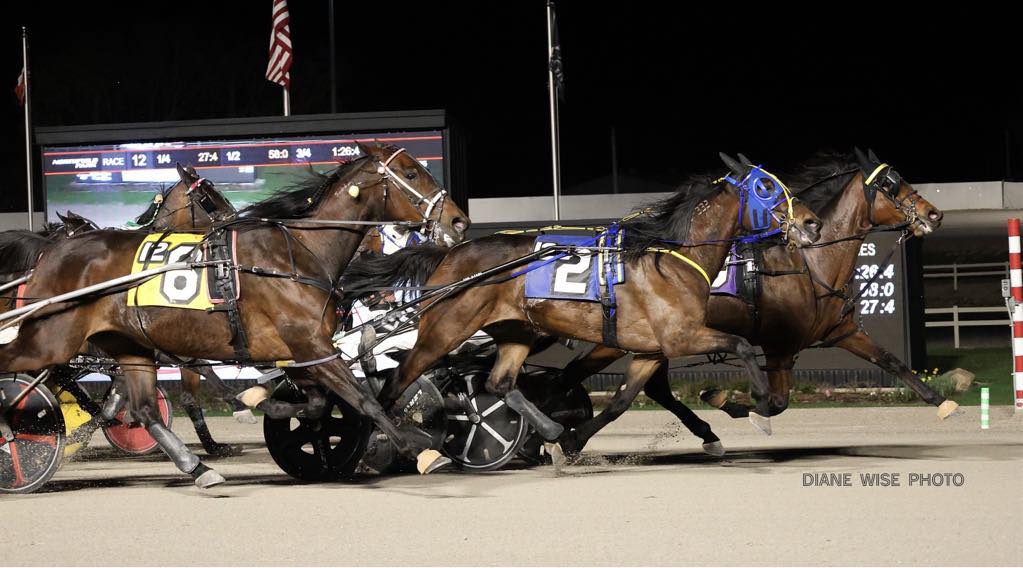 Ohio Harness Horsemen's Association | Grove City OH