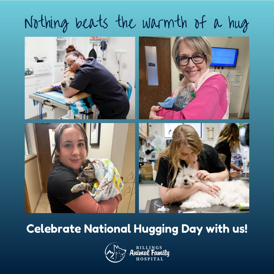 Billings Animal Family Hospital - 🐕💖 Happy National Hugging Day ...