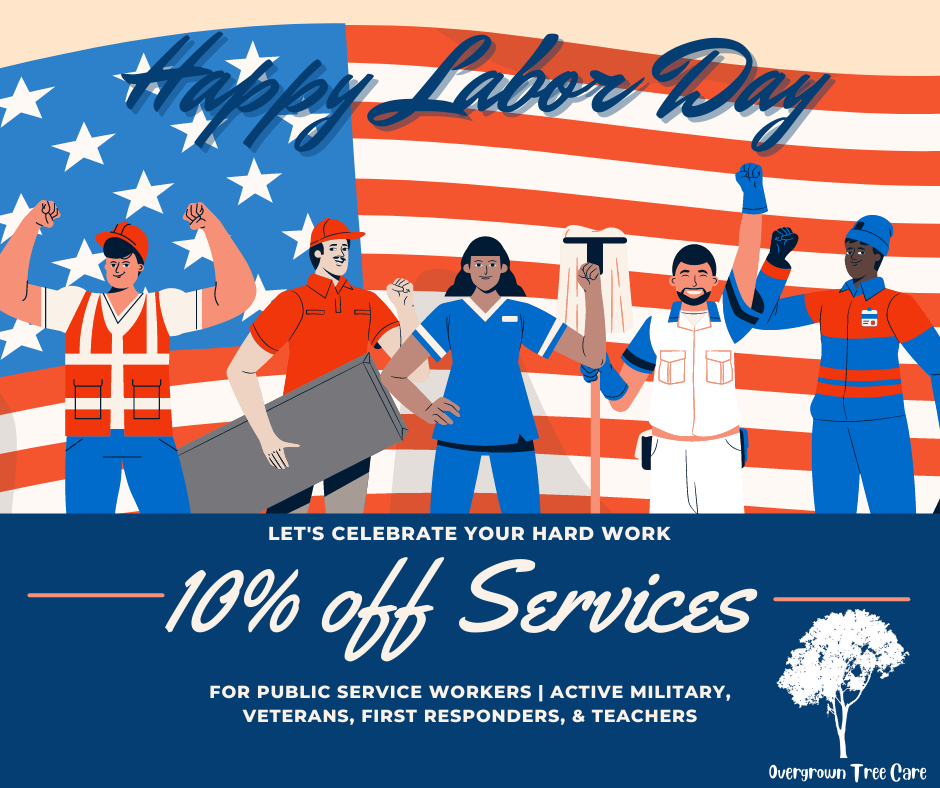 Overgrown Tree Care LLC | Wilmington NC