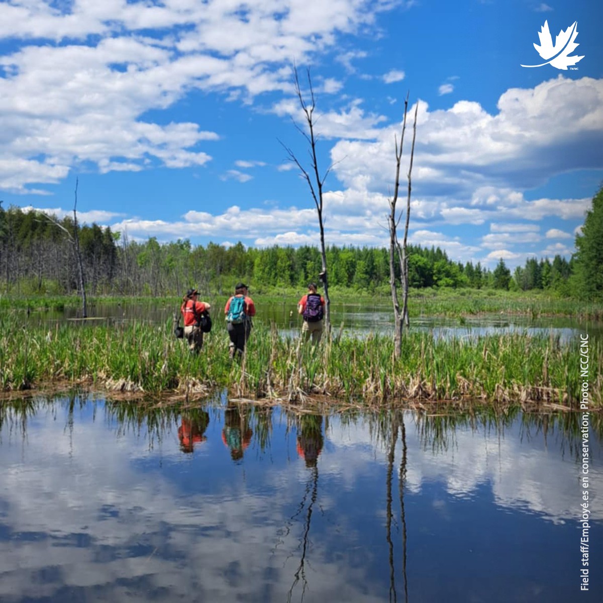 Nature Conservancy of Canada / Conservation de la nature Canada added a ...