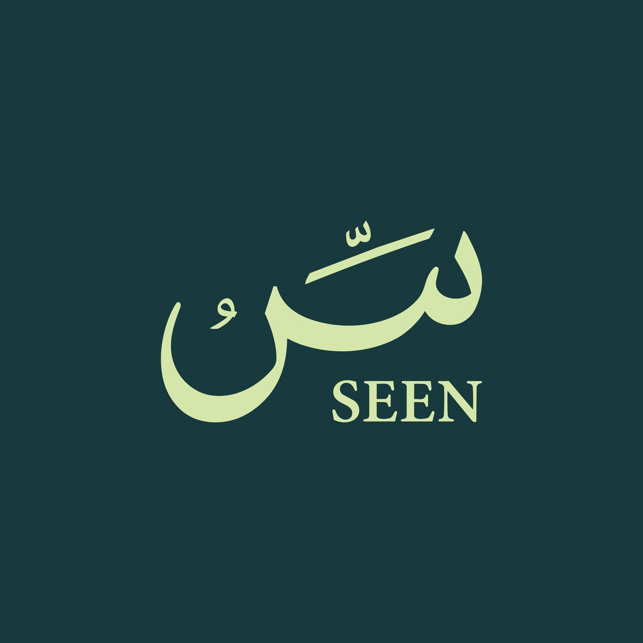 طلقة واحدة ممكن توقع طيارة😨🔥 #في_الظل #سين #seen | سين