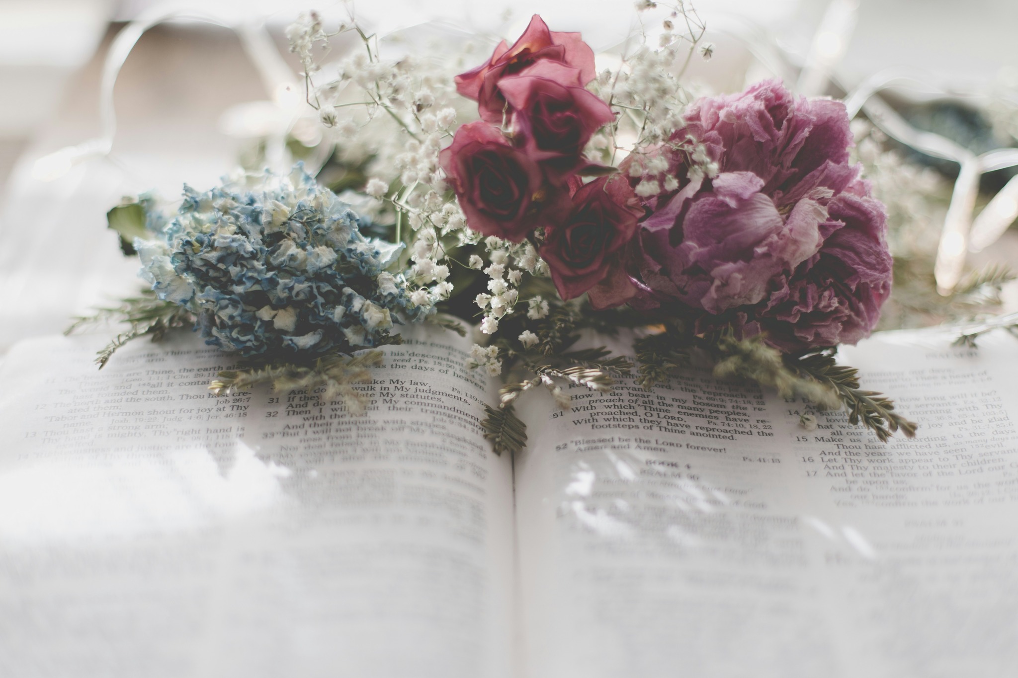 Dust & Glory Blog