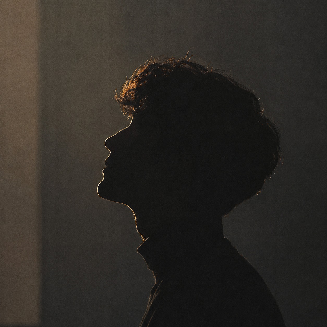 The Inner Archive on Reels