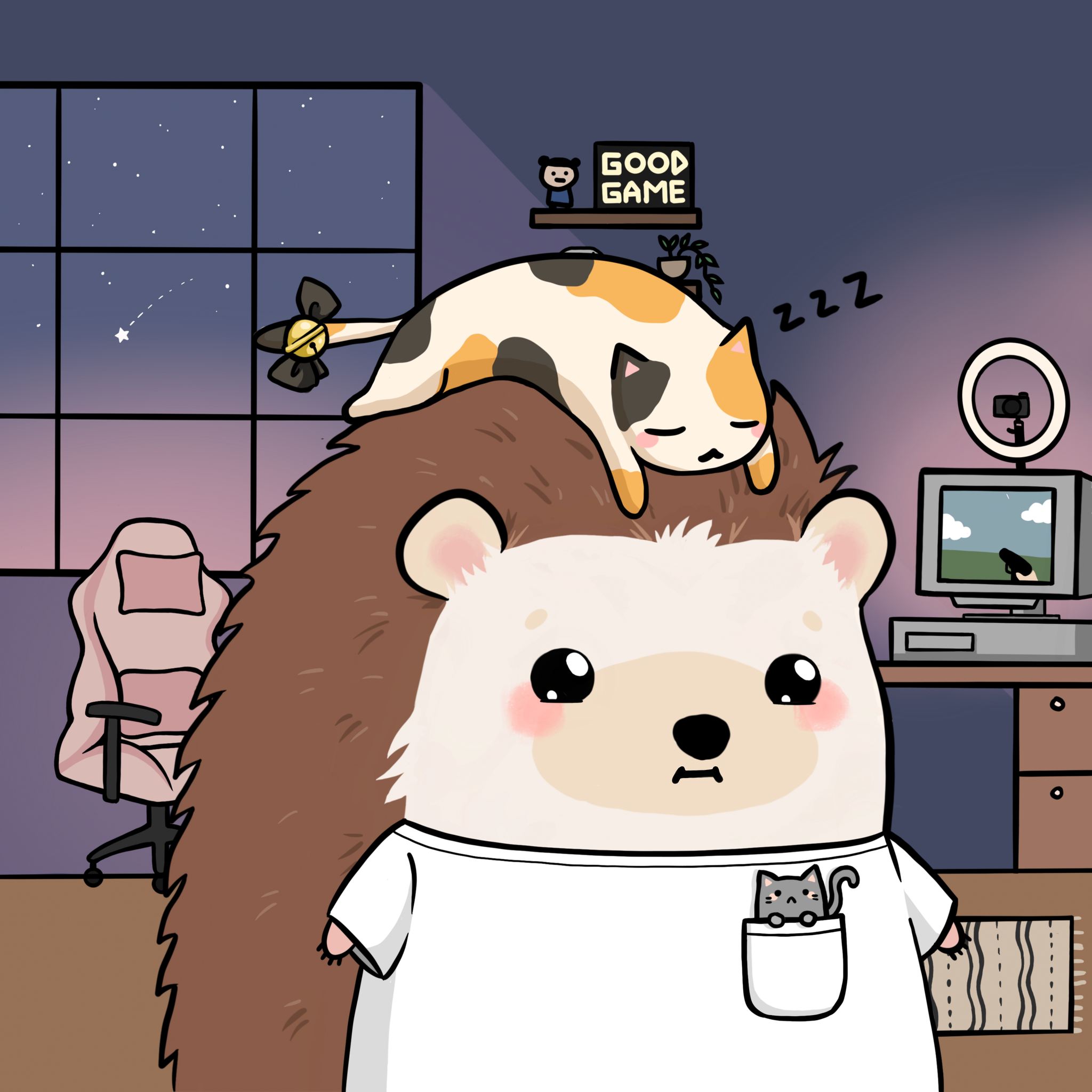 Hedgies Club