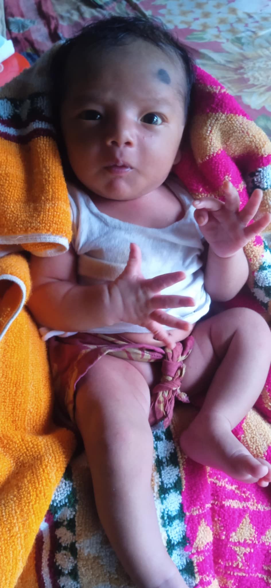 Bina Rani