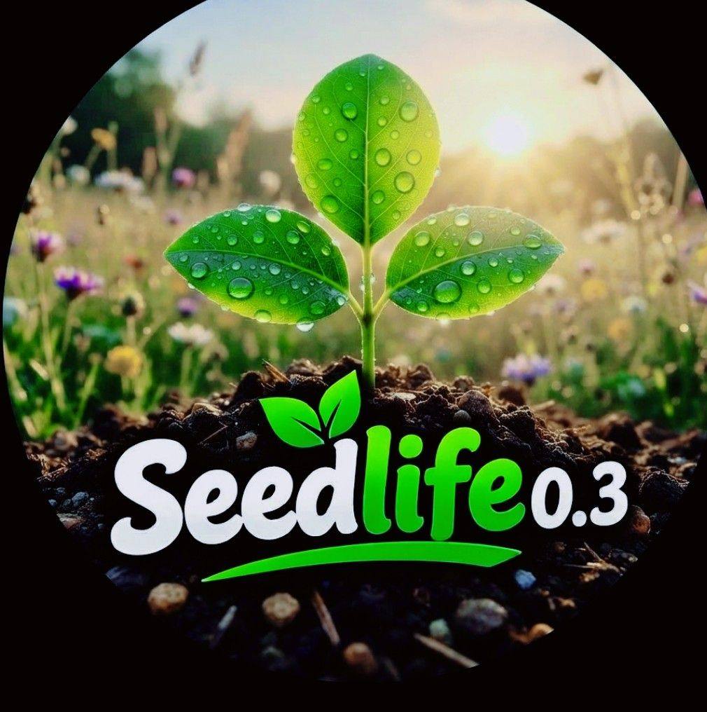 🫐 The Amazing Life Cycle of a Jamun | Seedlife0.3