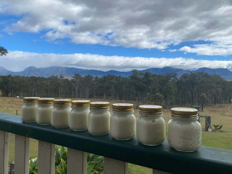 Tarome Tallow | Tarome QLD
