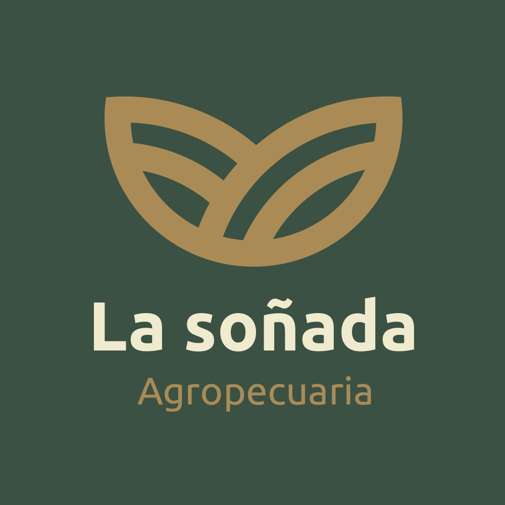 La soñada | Esperanza