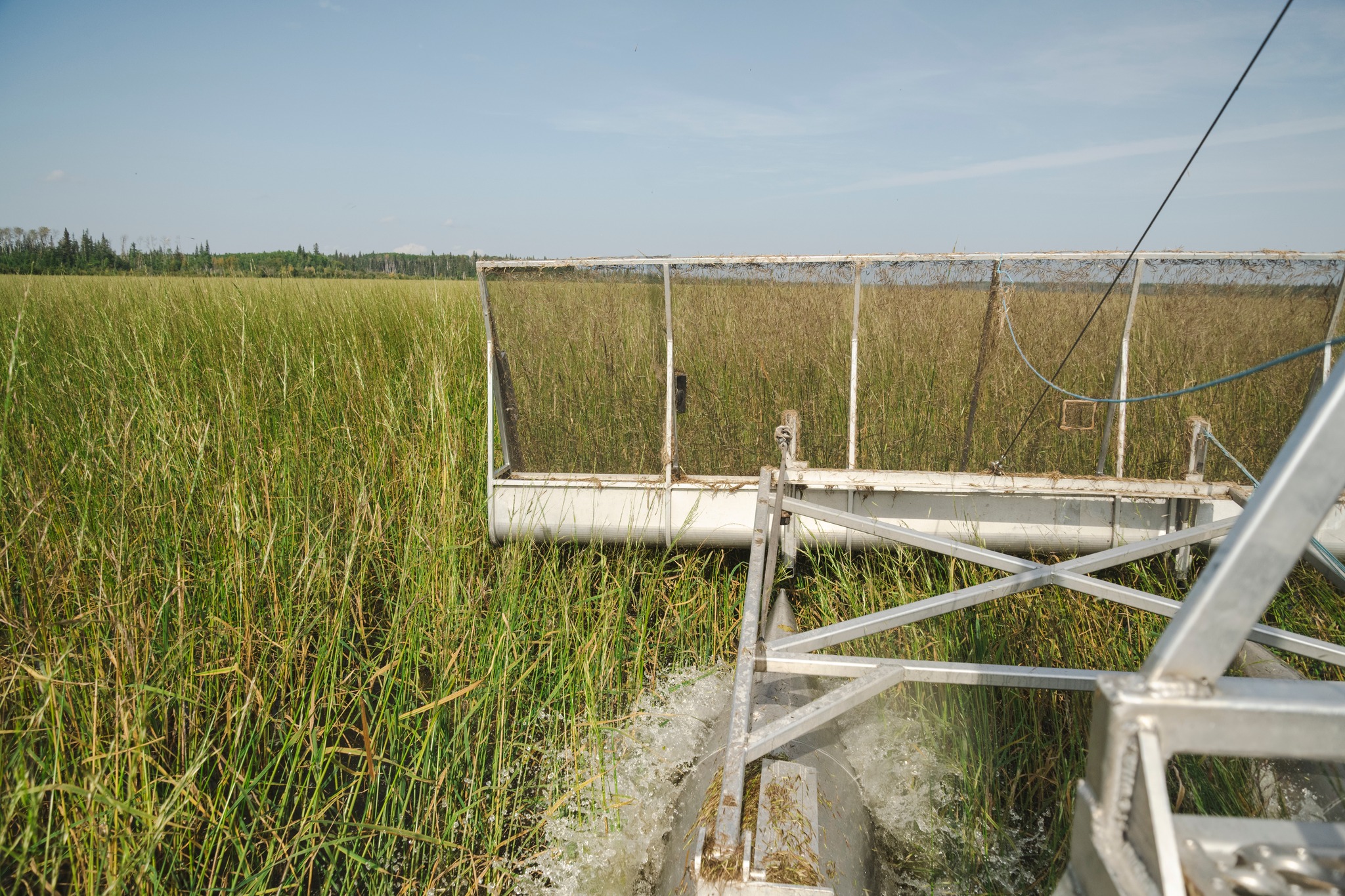 Origins Wild Rice Co. | La Ronge SK