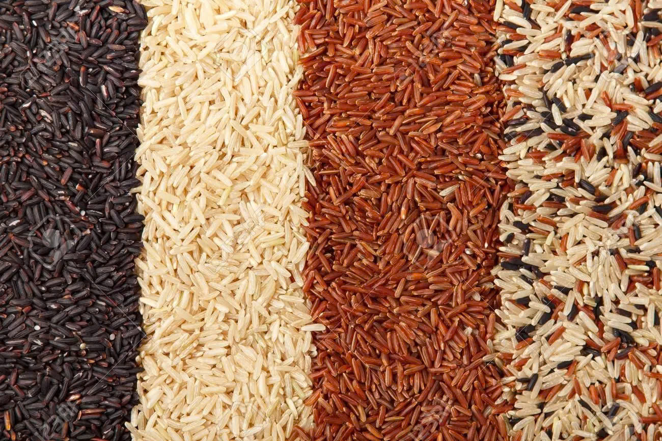 Dr.PINOCA Premium Rice PH | Manila