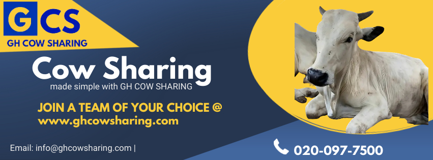 GH COW Sharing | Accra