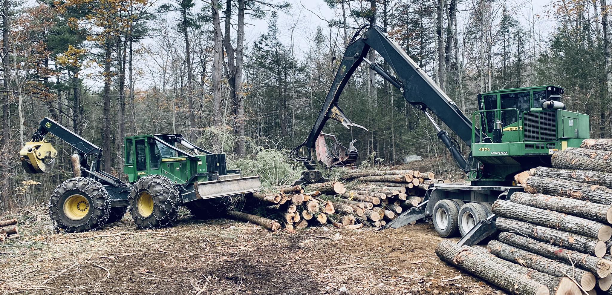 Riel Timber Harvesting | Barnstead NH