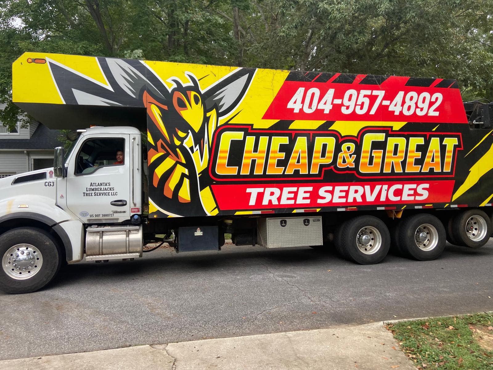 Cheap & Great Tree Services